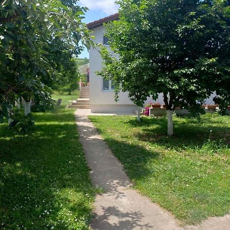 Apartman Flora Vrdnik Buitenkant foto