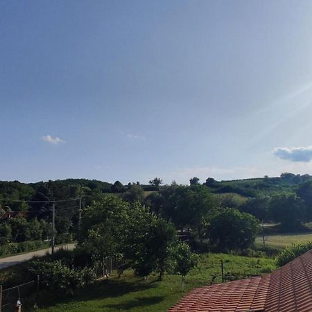 Apartman Flora Vrdnik Buitenkant foto