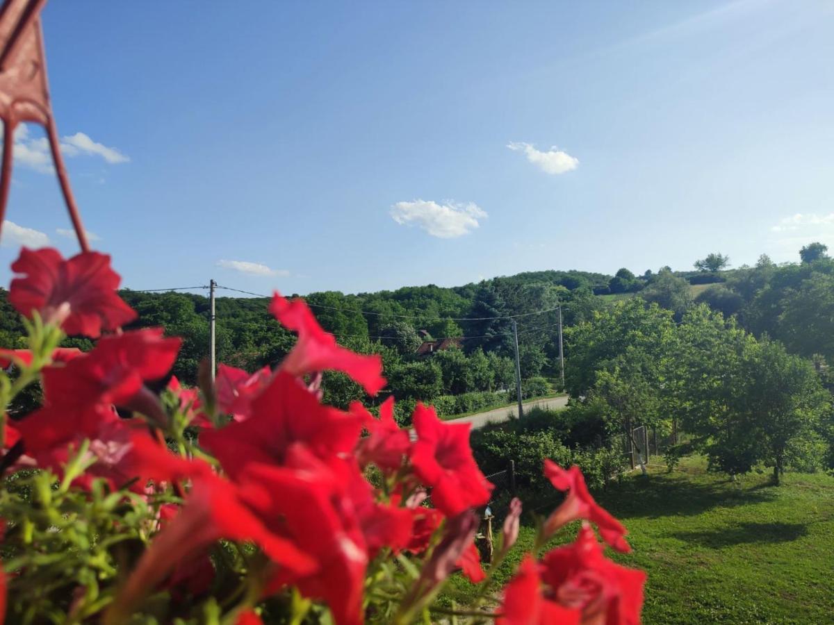 Apartman Flora Vrdnik Buitenkant foto