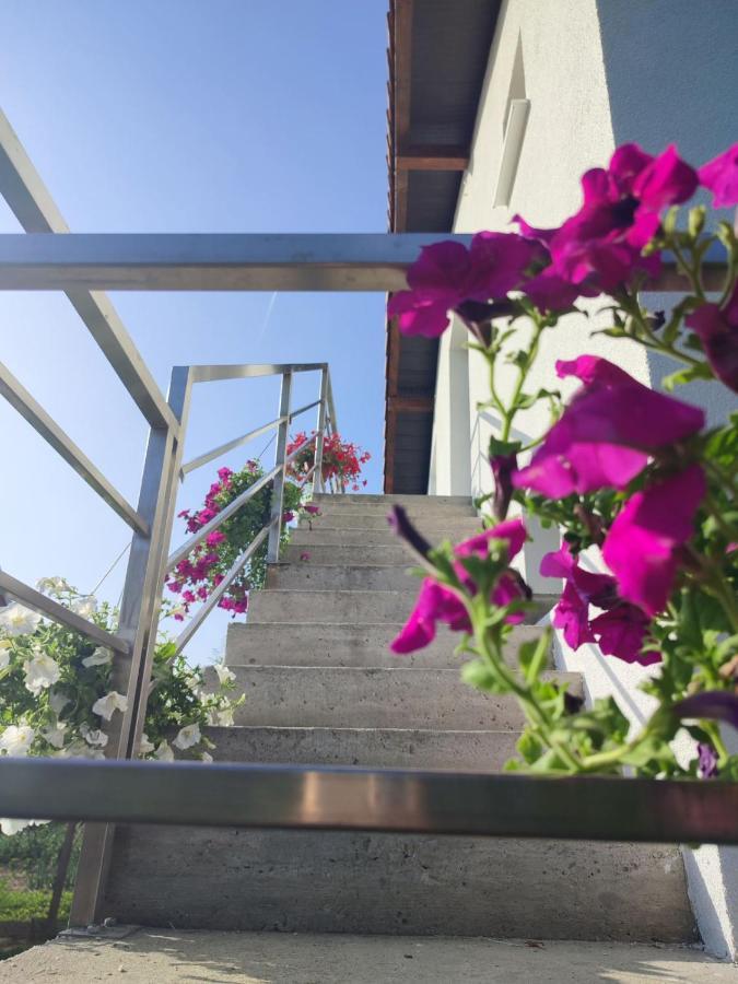 Apartman Flora Vrdnik Buitenkant foto